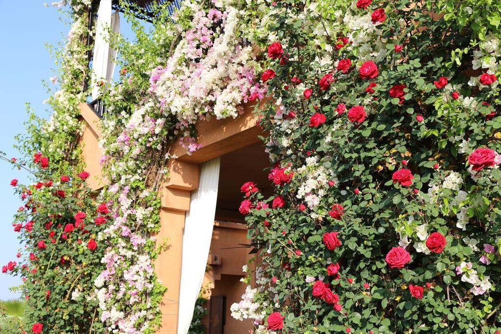 Riad Al Mendili Private Resort & Spa Had Abdallah Rhiat Exteriör bild
