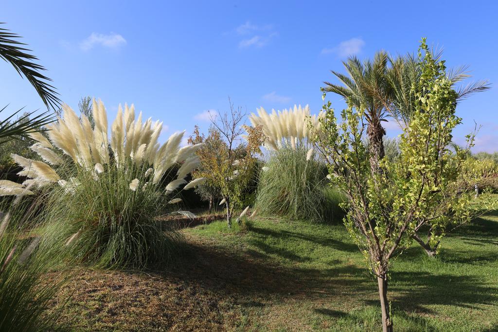Riad Al Mendili Private Resort & Spa Had Abdallah Rhiat Exteriör bild