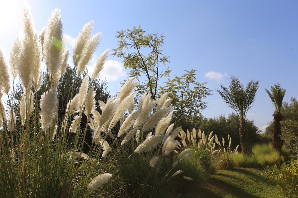 Riad Al Mendili Private Resort & Spa Had Abdallah Rhiat Exteriör bild