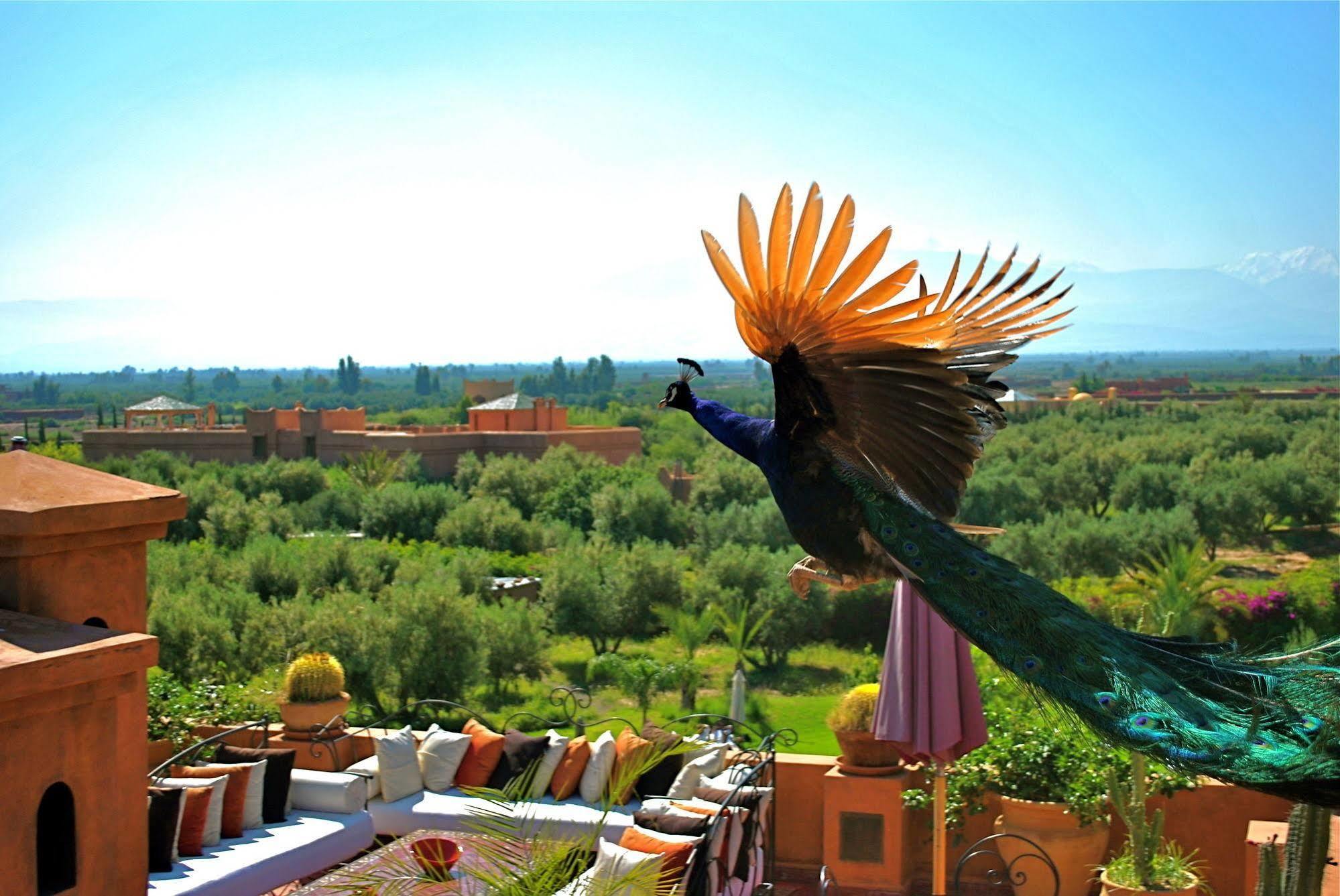 Riad Al Mendili Private Resort & Spa Had Abdallah Rhiat Exteriör bild